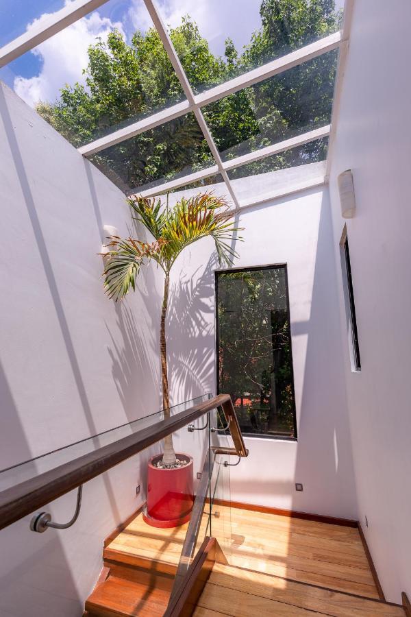 Casa Blanca In Coyoacan Mexico Extérieur photo